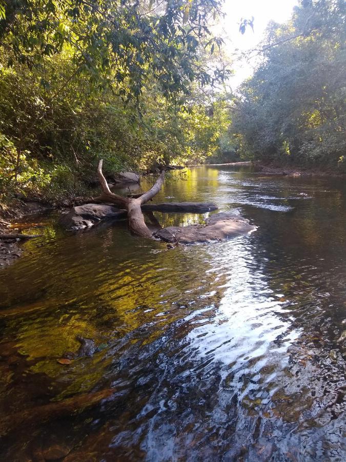 Pousada Primavera Dos Pireneus Pirenópolis Eksteriør billede